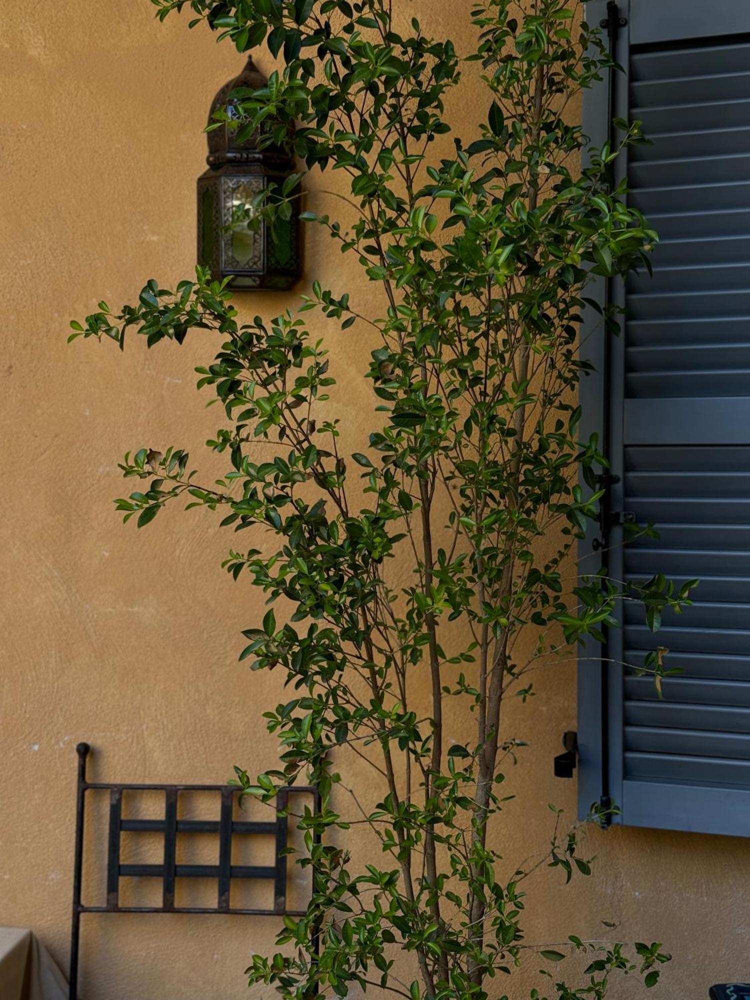 Appartamento In The Heart Of *